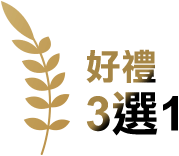 好禮3選1